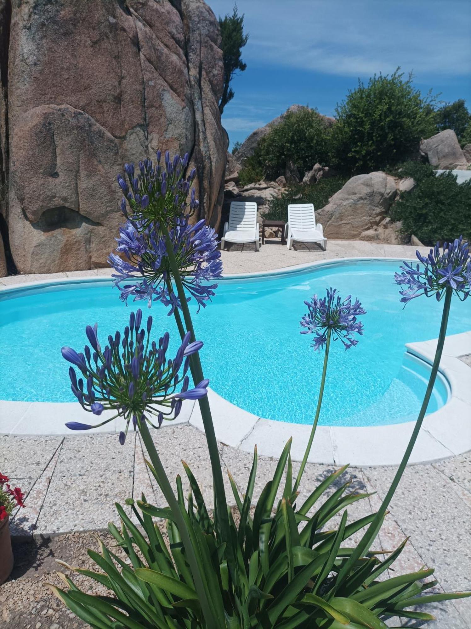 Villa Majore Beb Con Piscina Privata Rena Majore Exteriör bild